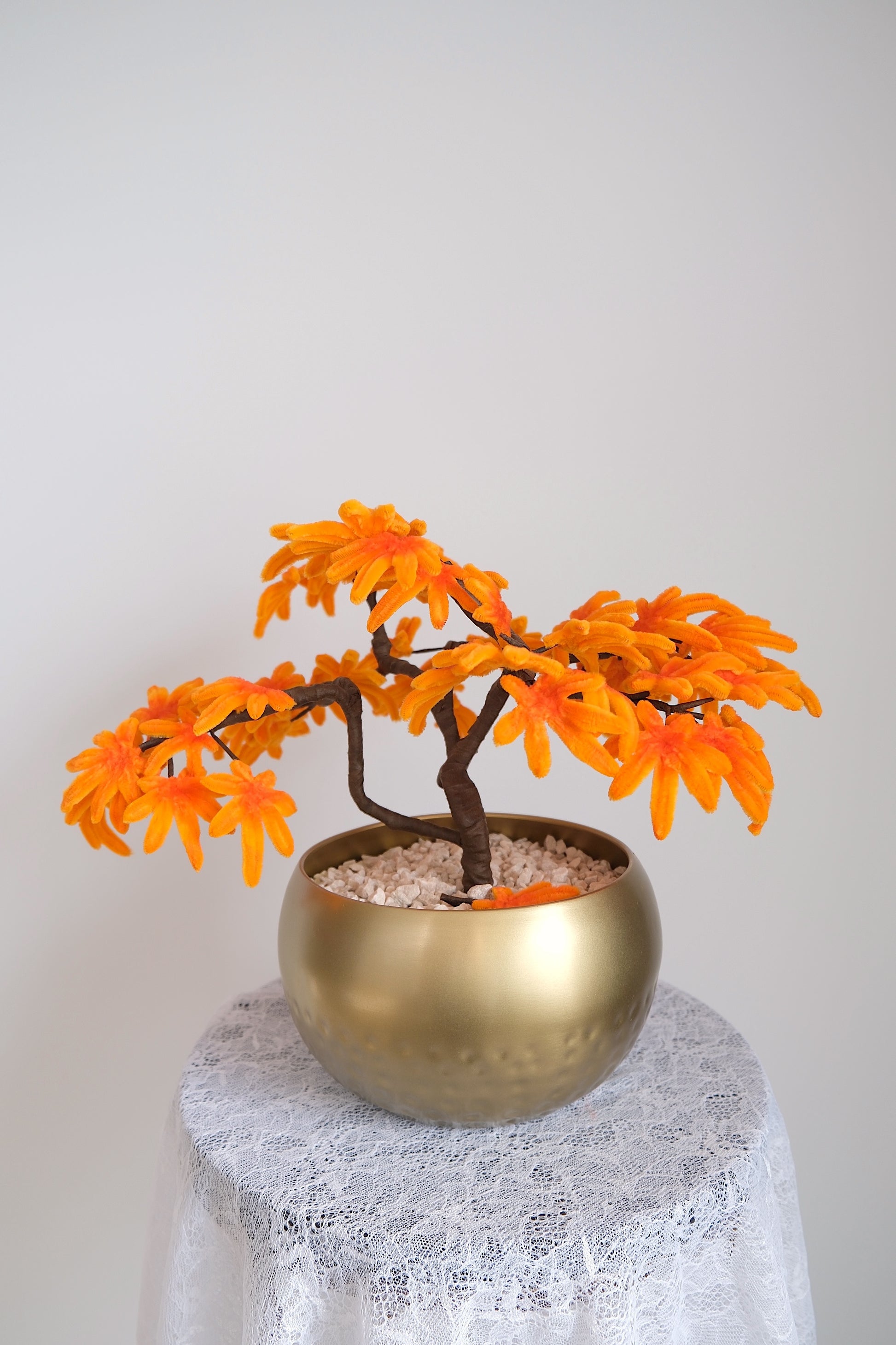 Japanese Esdoorn (Pre-order)