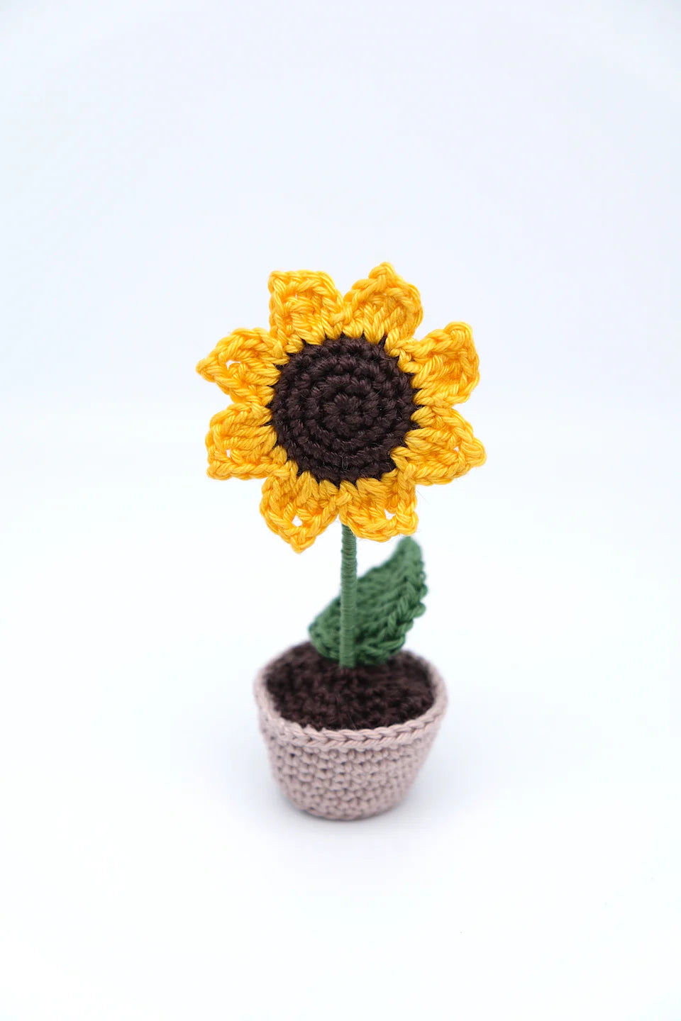 Kleine zonnebloem