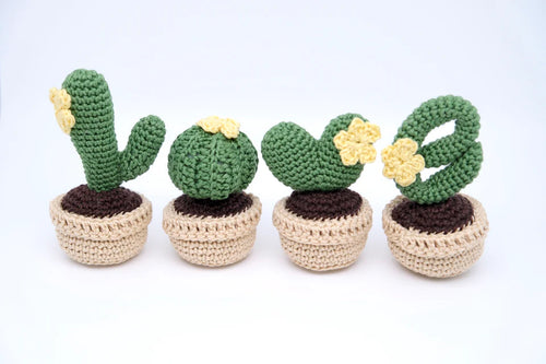 'Love' cactus set