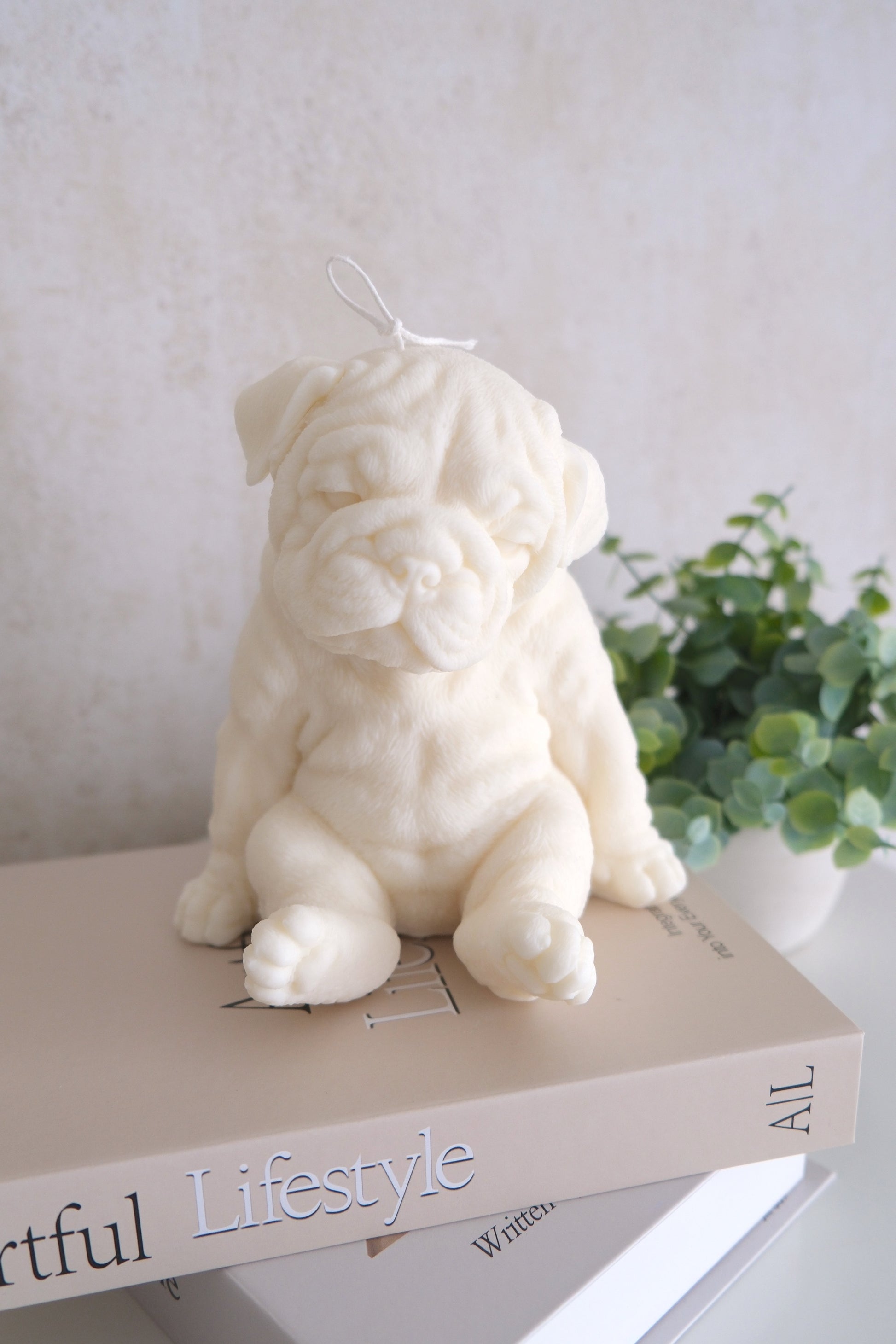 Bougie « Bulldog »