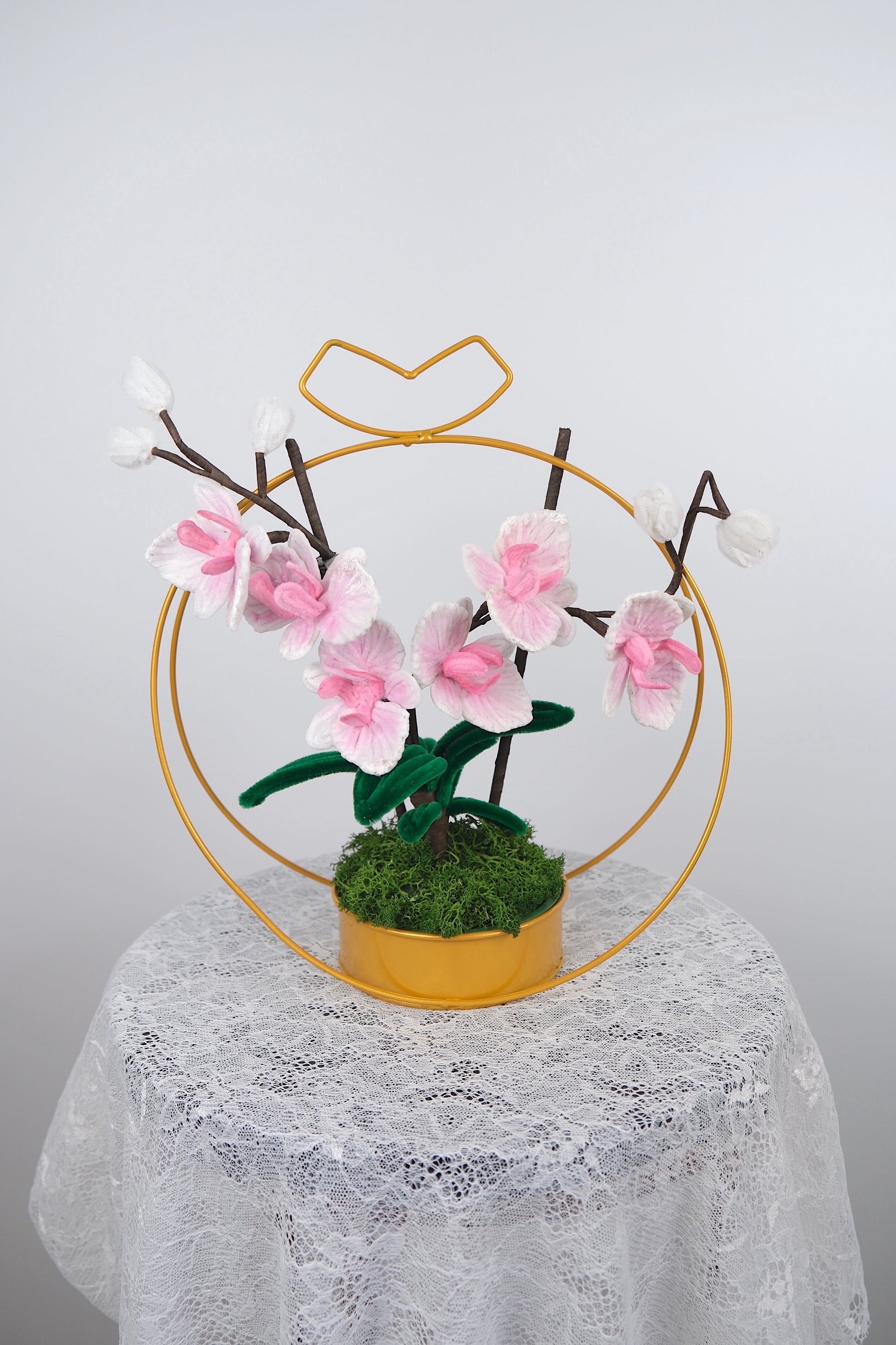 Orchideeën
