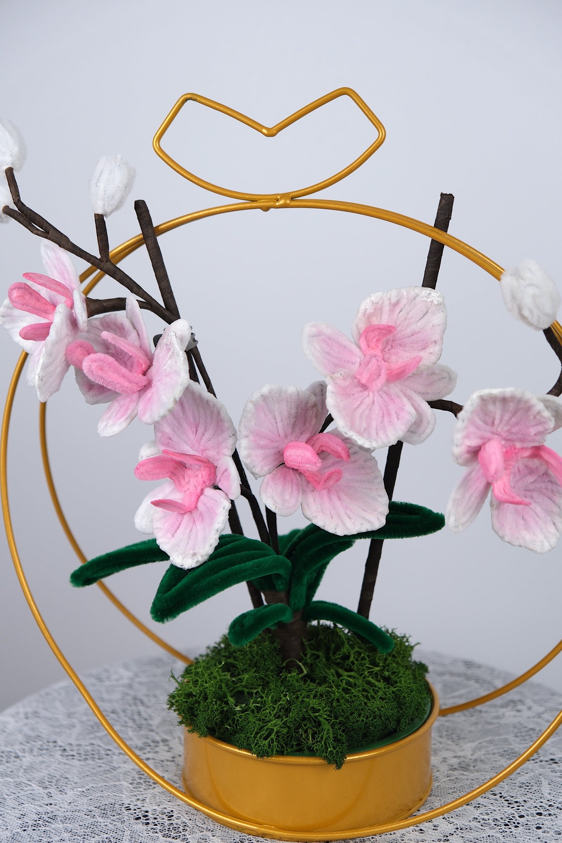 Orchideeën