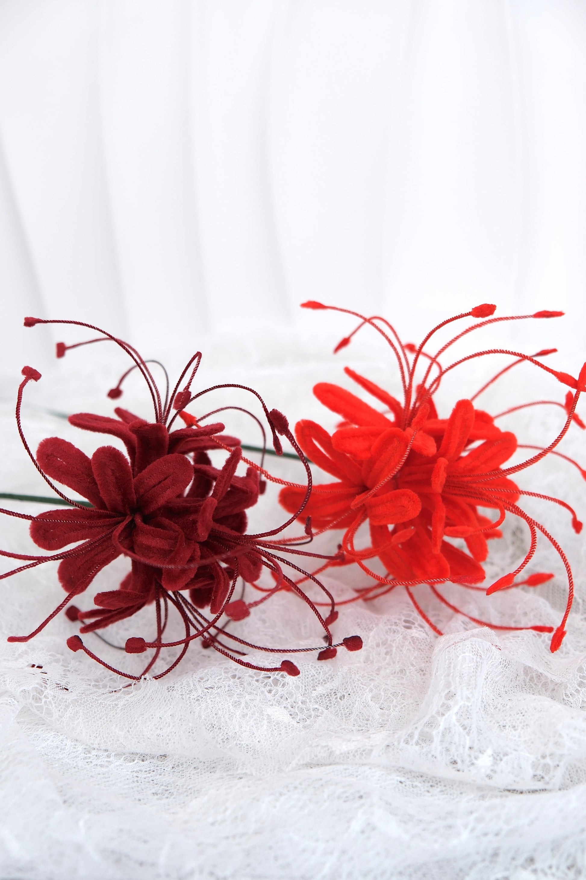 Spider Lily bloemen