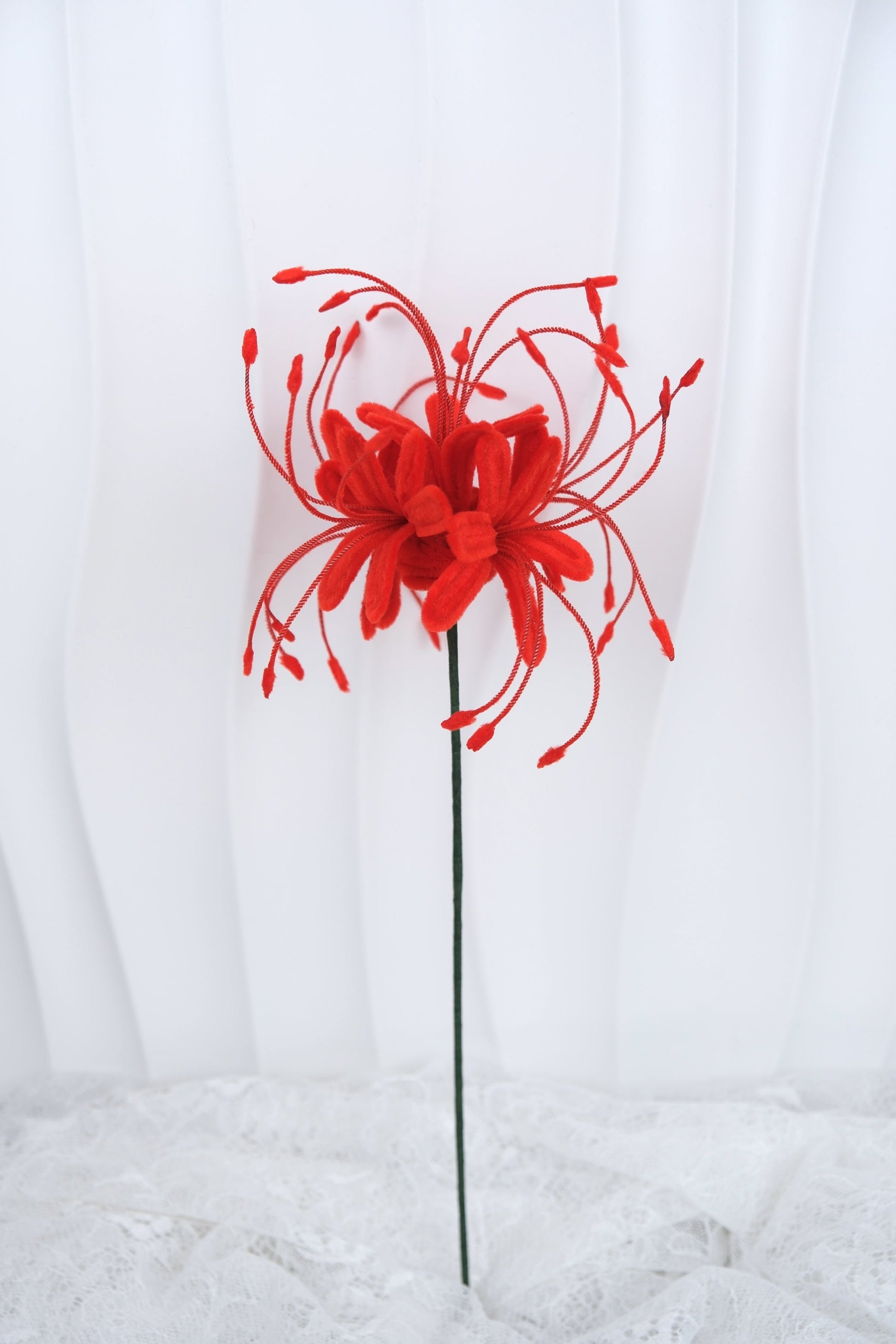 Spider Lily bloemen