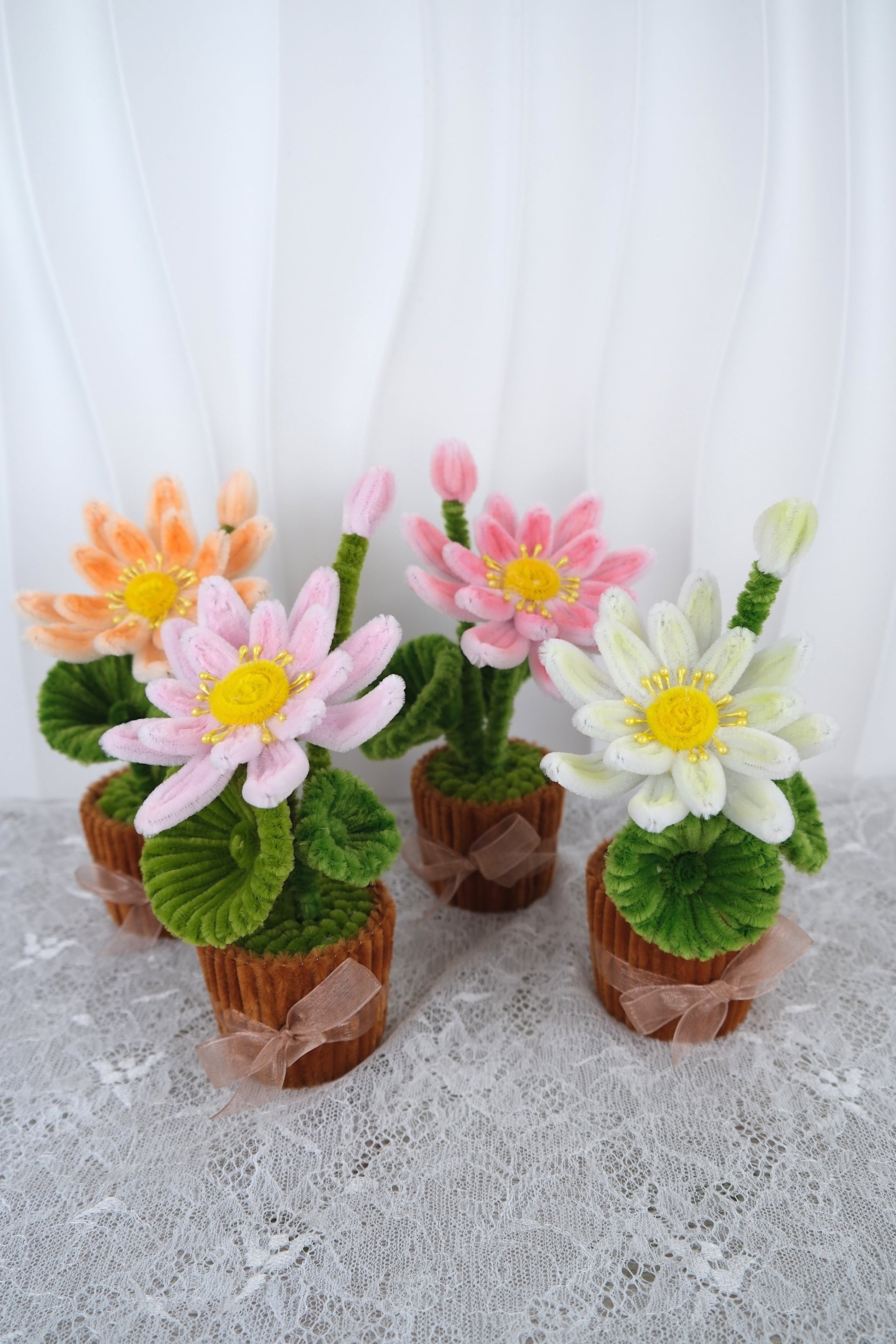 Lotus bloemen potjes