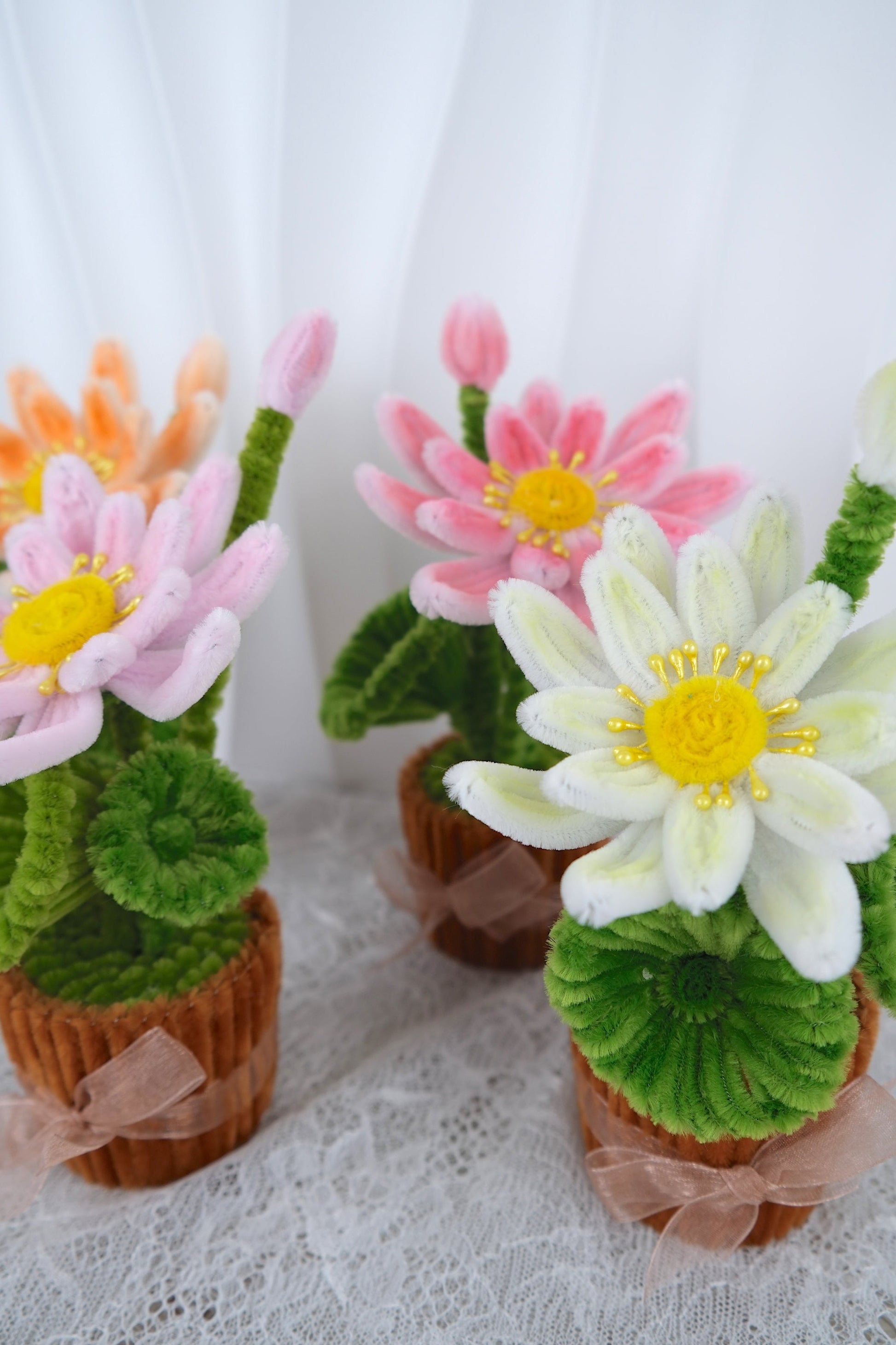 Lotus bloemen potjes