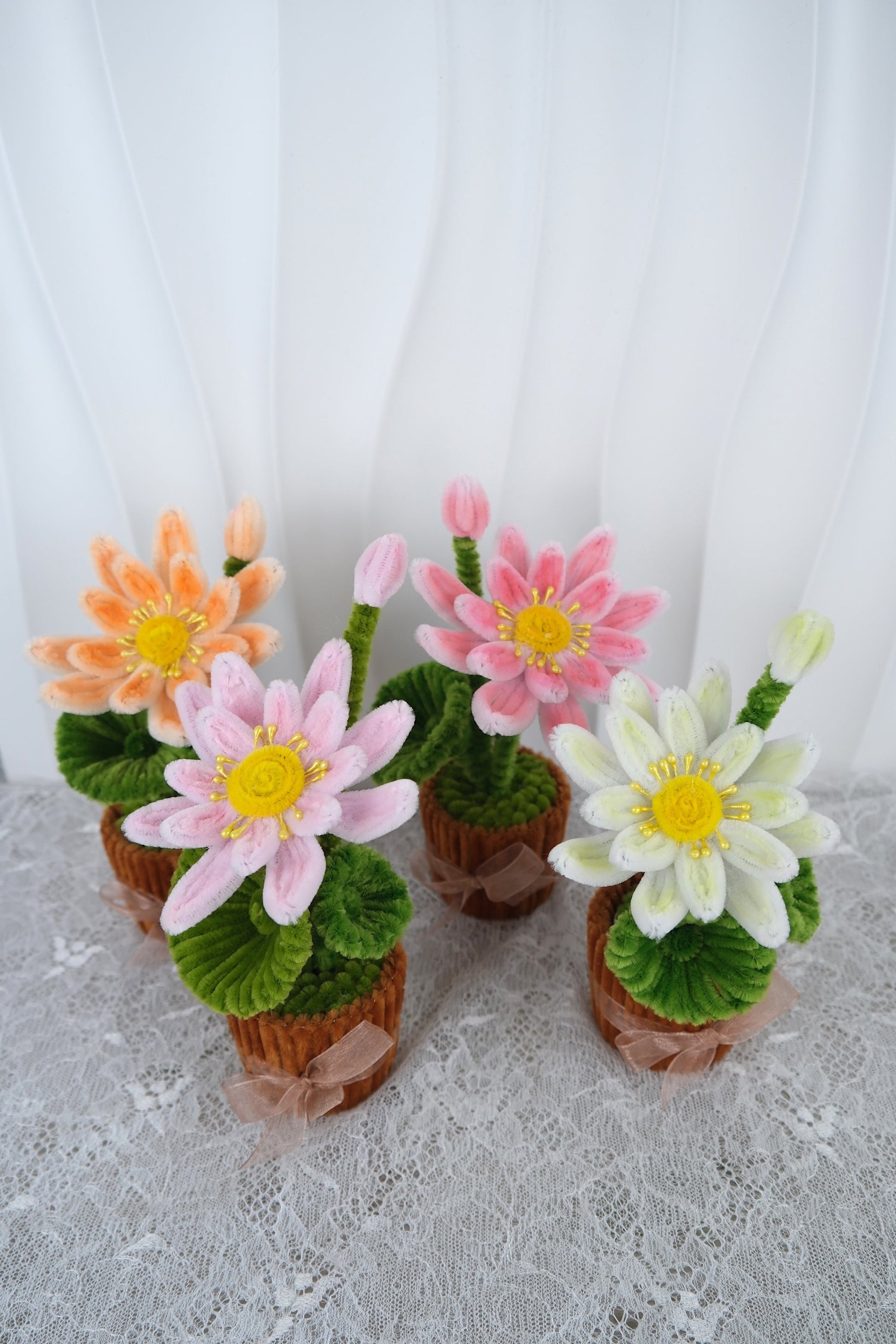 Lotus bloemen potjes