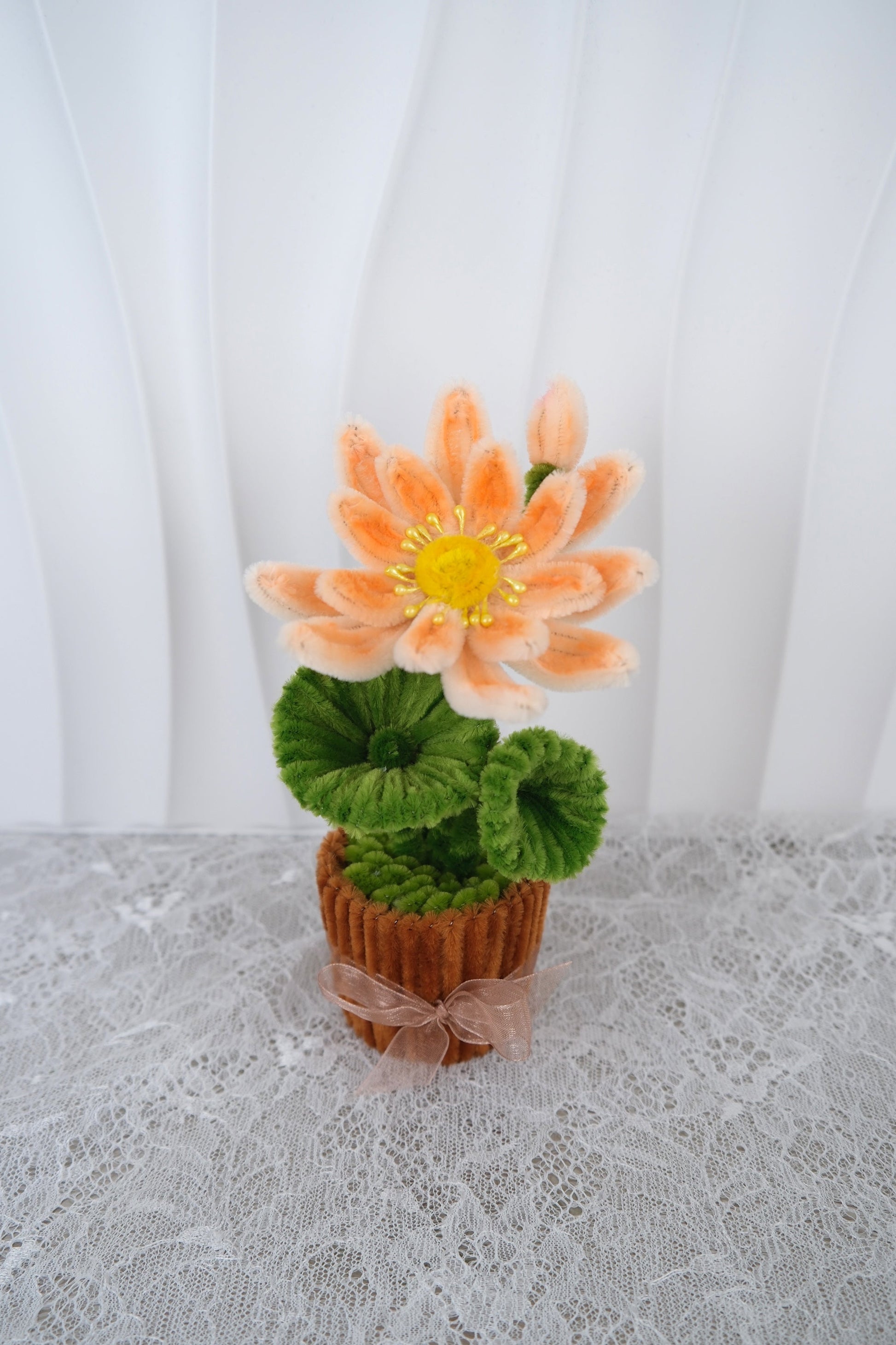 Lotus bloemen potjes