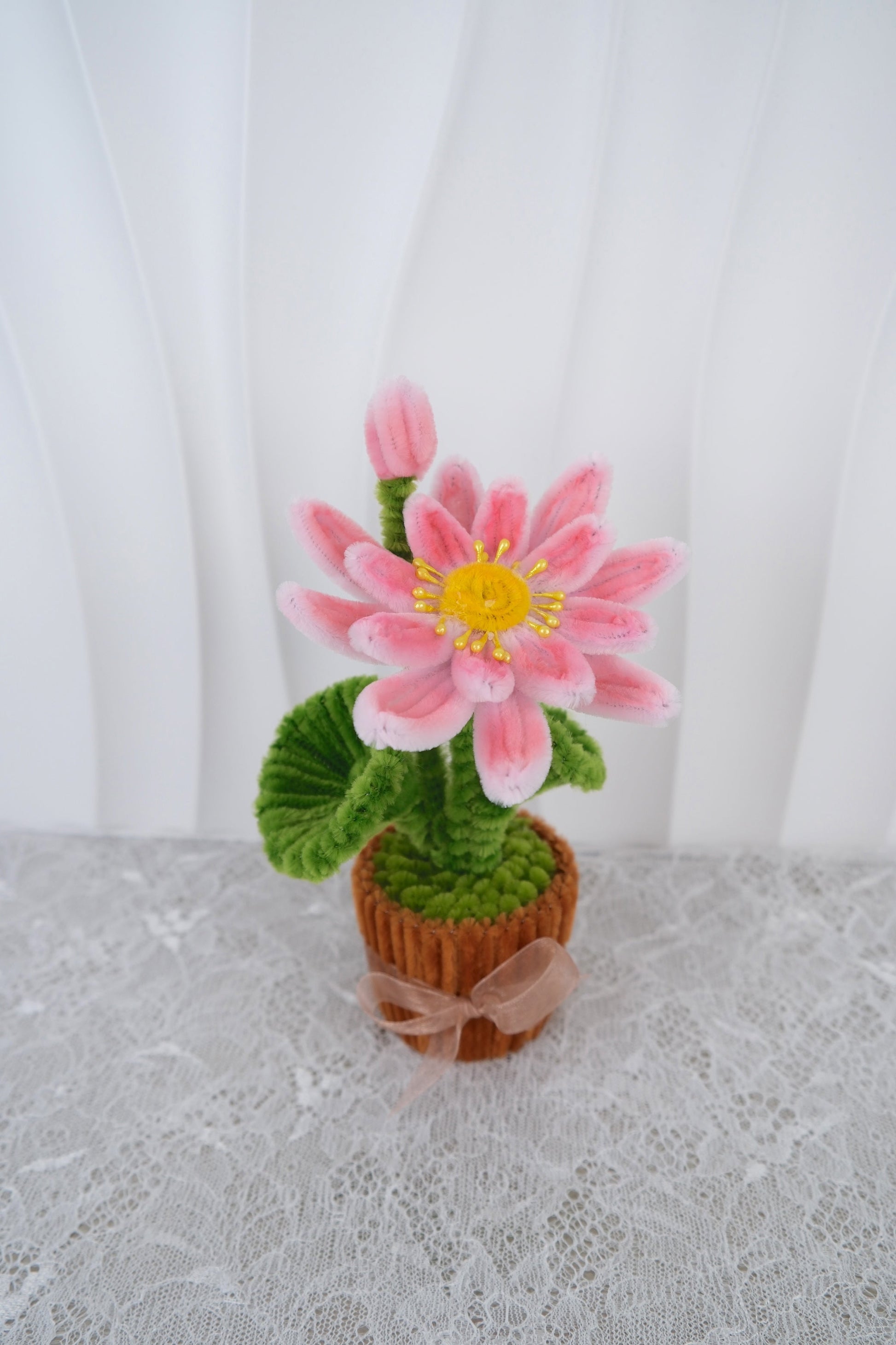 Lotus bloemen potjes