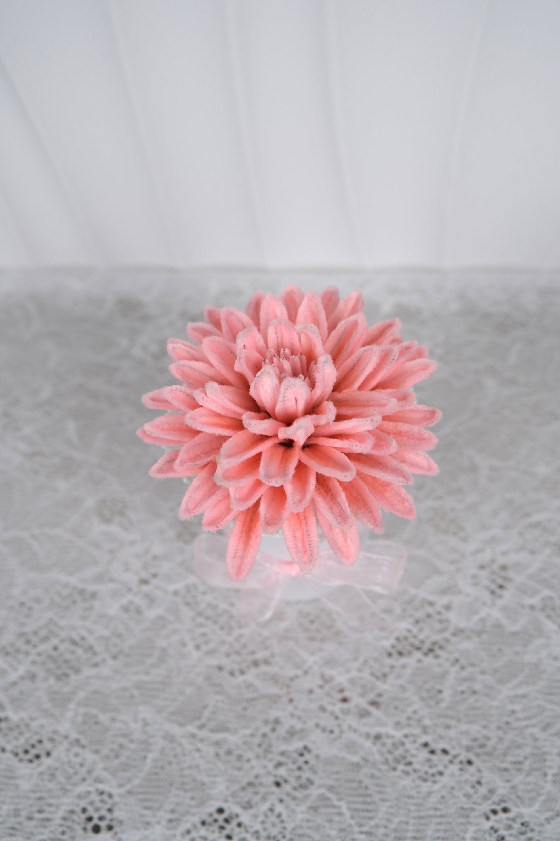 Chrysant in klein potje