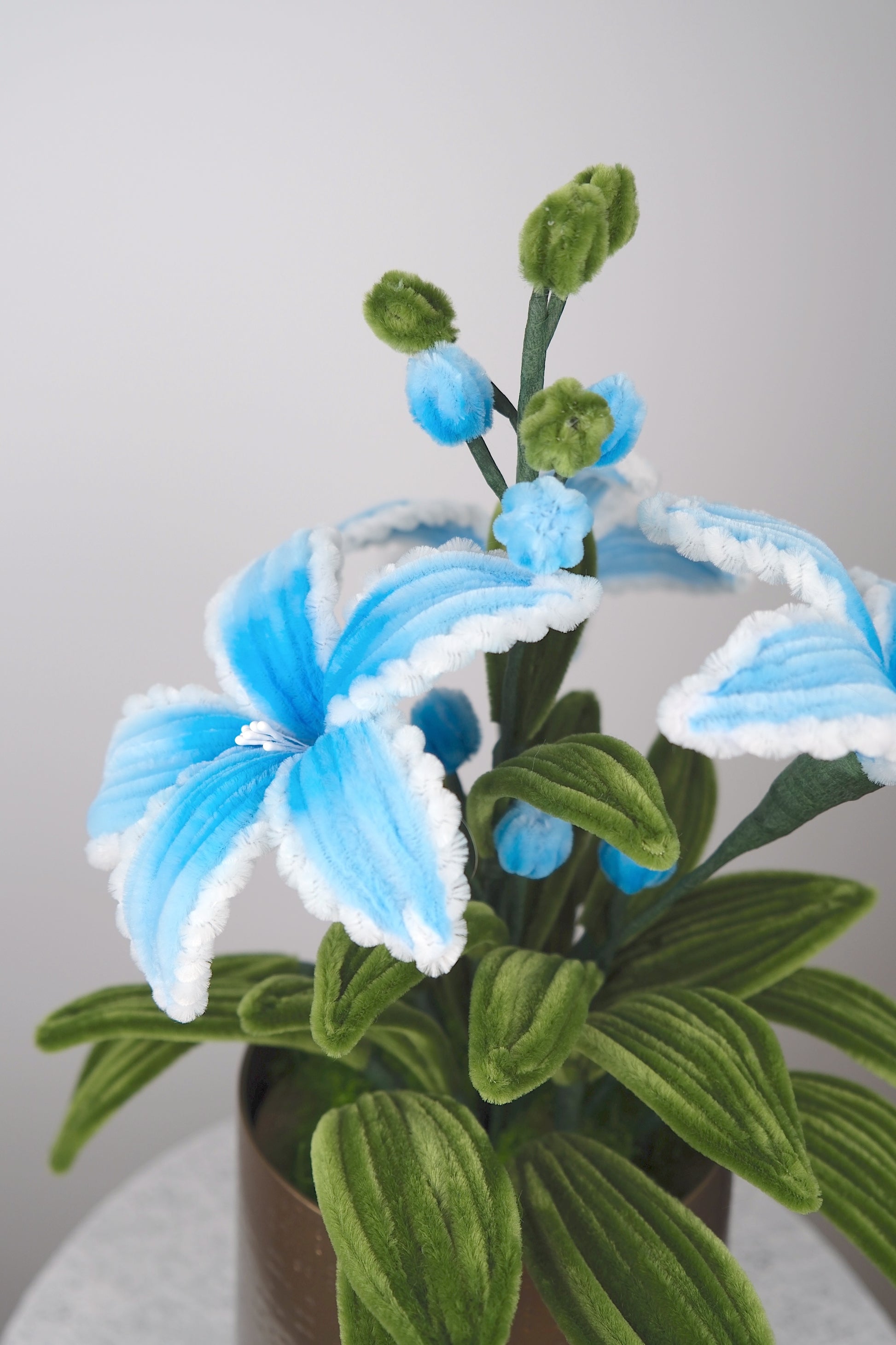 Lelie bloemen (2 kleuren) (Pre-order)