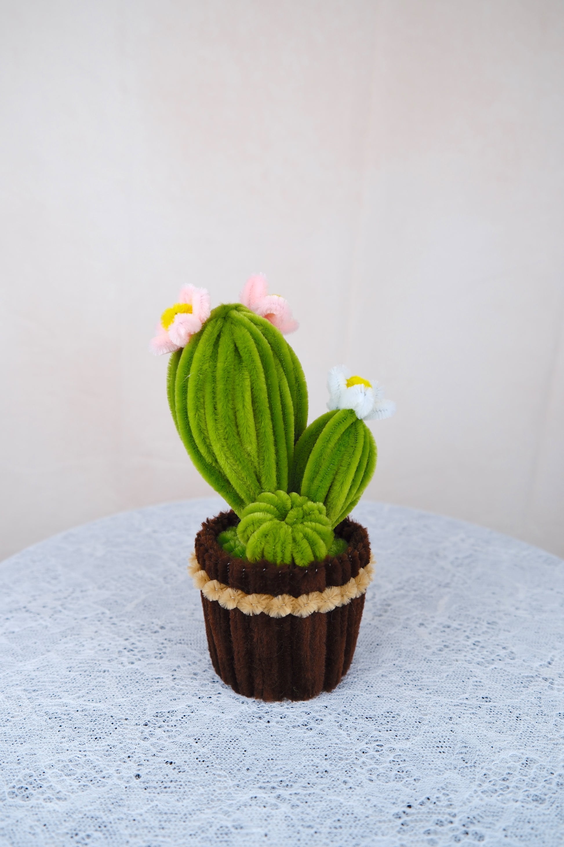 Cactus potje