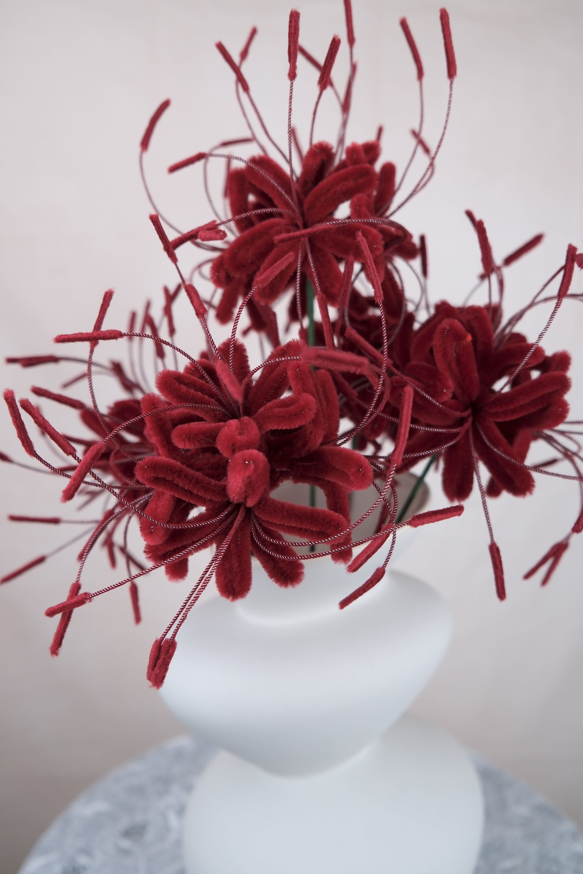 Spider lelies in vaas