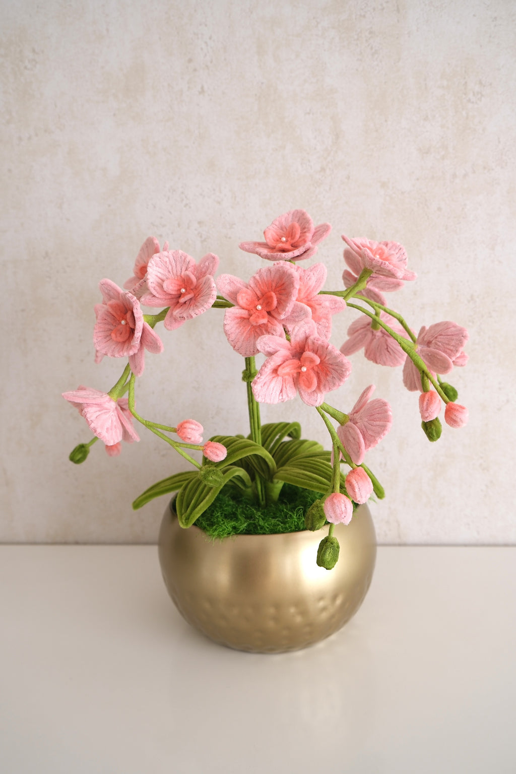 Bloempot 'Orchid Dream'