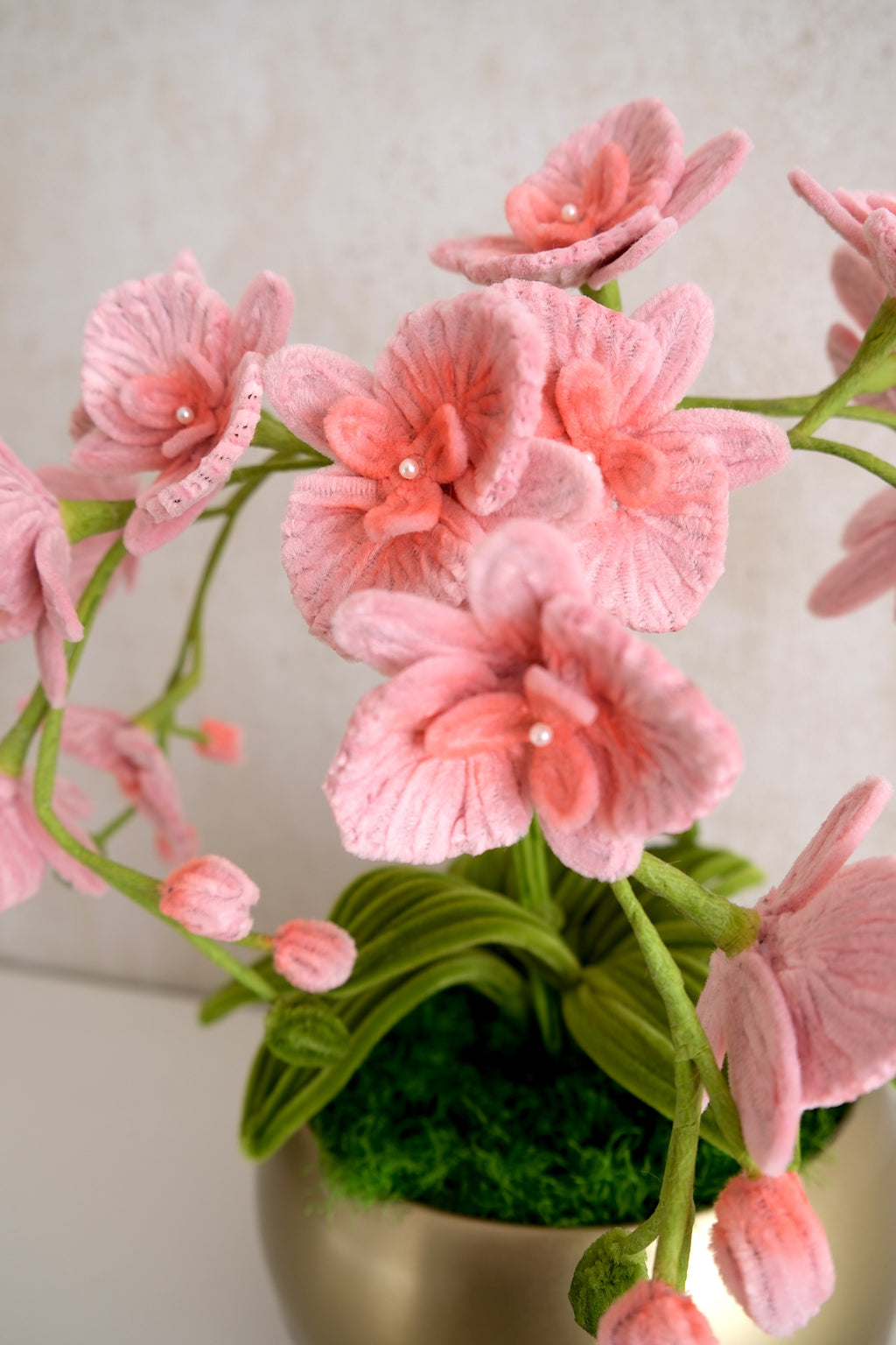 Bloempot 'Orchid Dream'