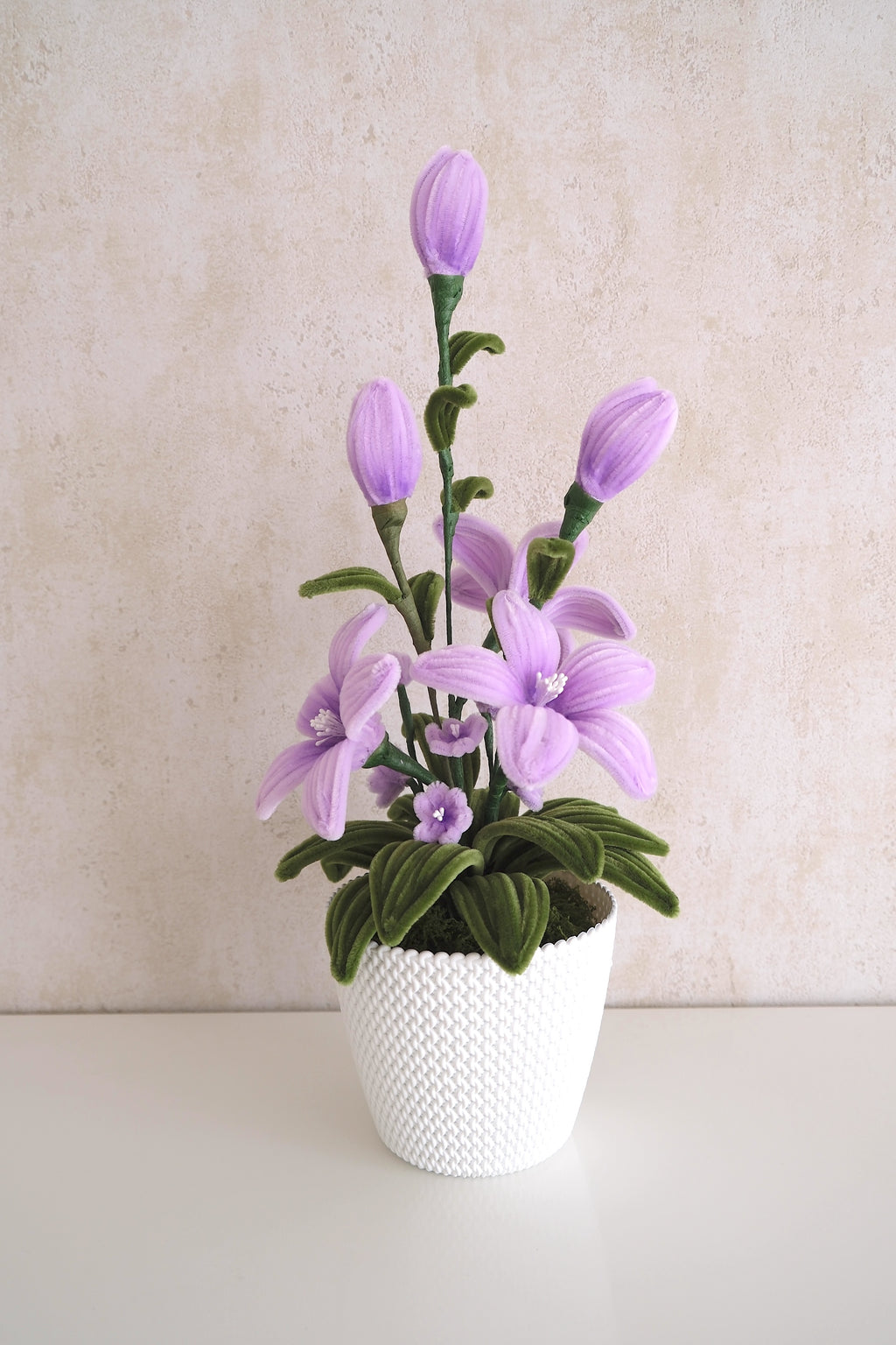 Pot de fleurs 'Purple Delight'