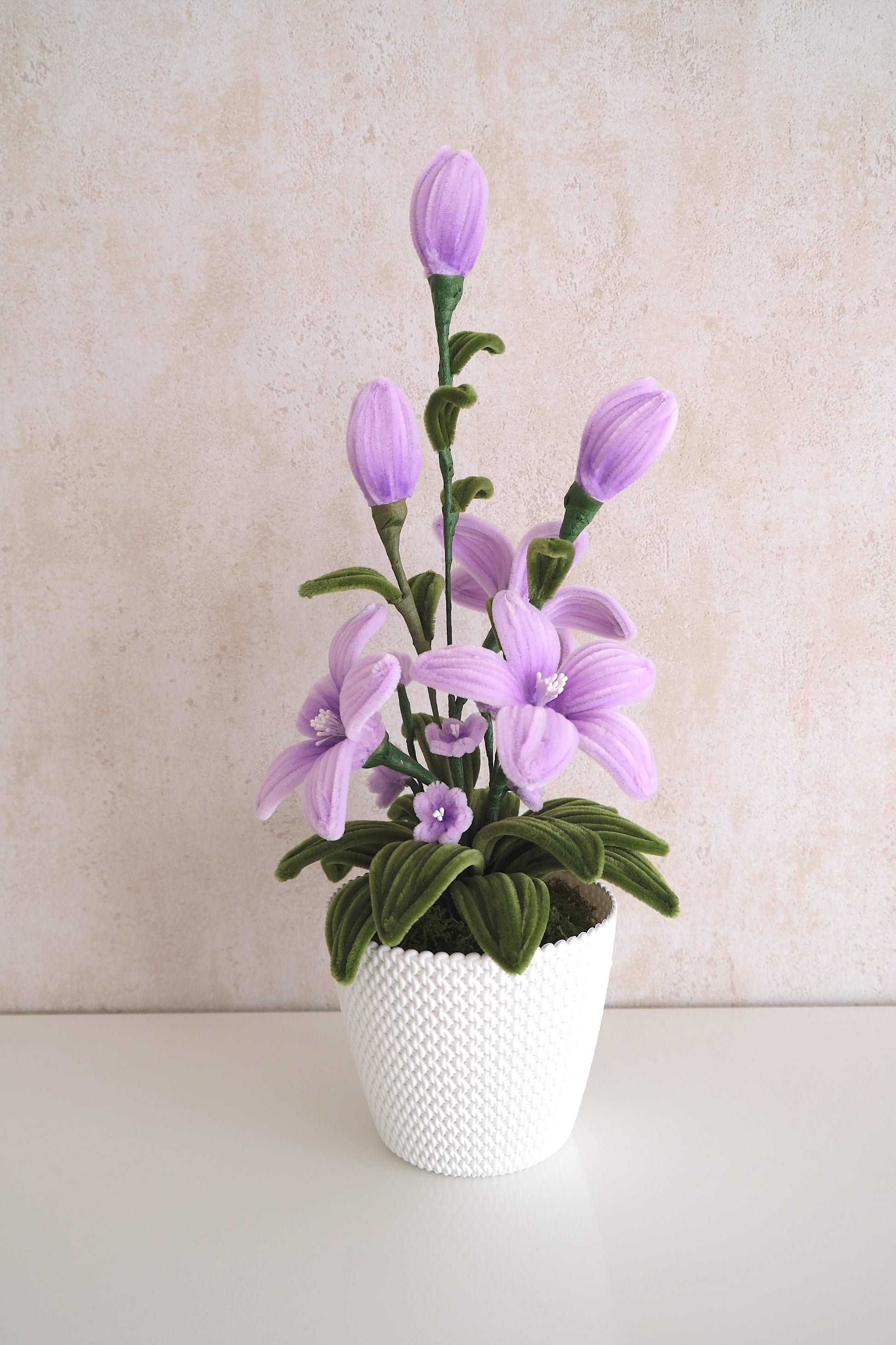 Pot de fleurs 'Purple Delight'